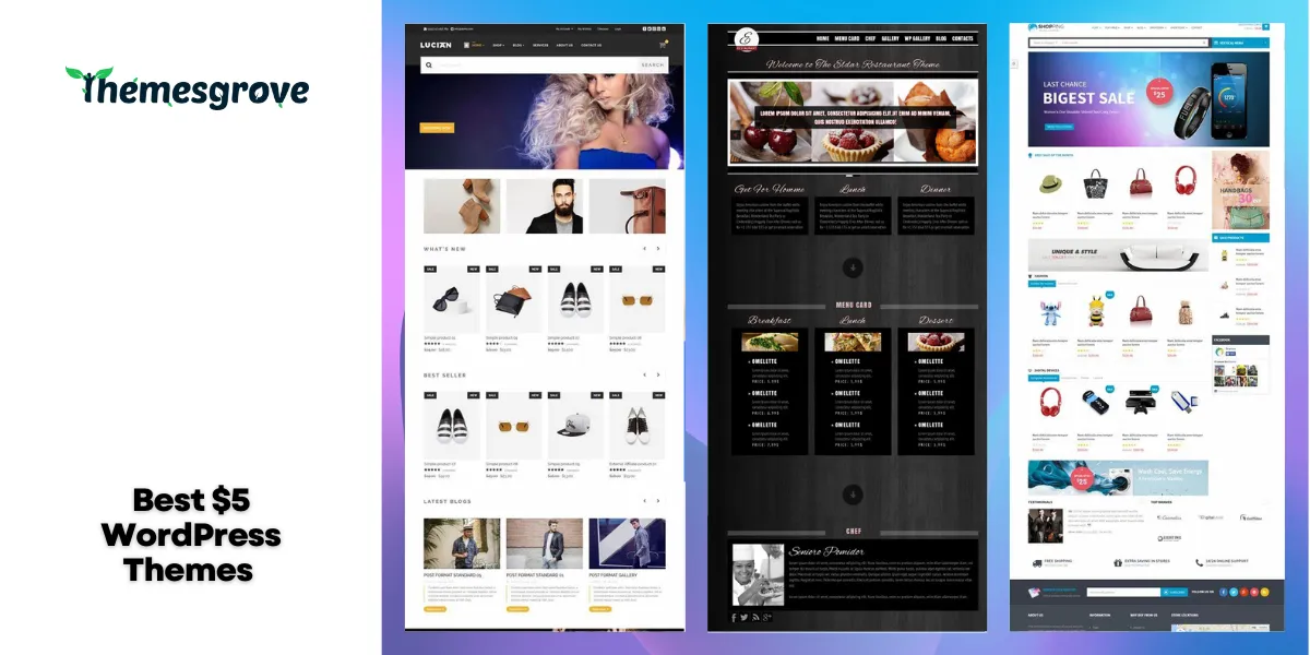 Best $5 WordPress Themes