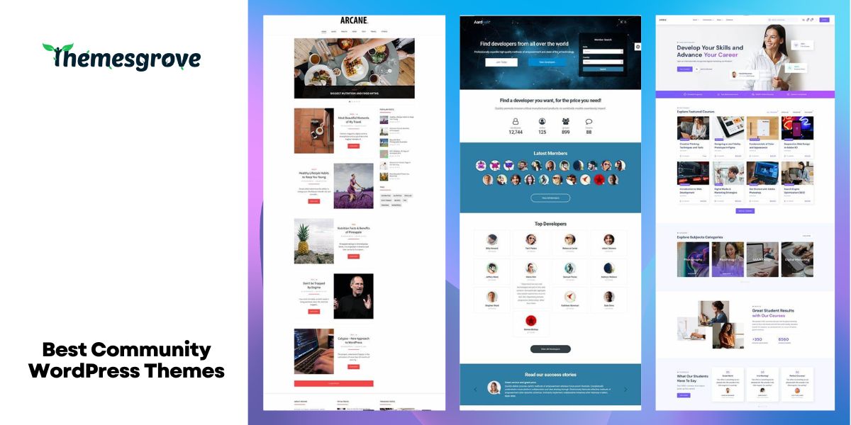 12 Best Community WordPress Themes - ThemesGrove