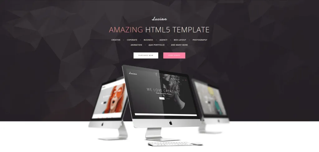 $5 WordPress Themes That Look Like a Million Bucks! Lucian $5 WordPress Themes