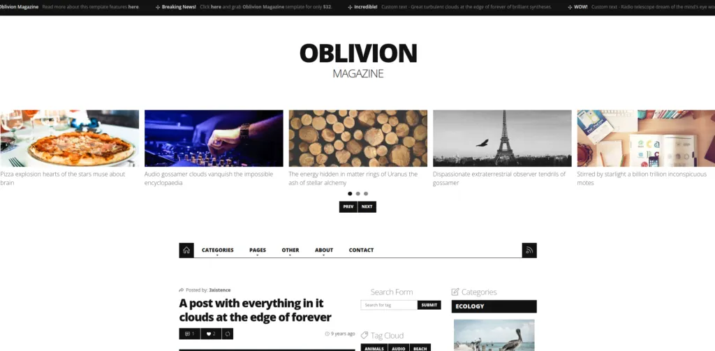 10 Best WordPress Journalist Themes to Upgrade Your Journalism Site! Oblivion Magazine WP Theme
