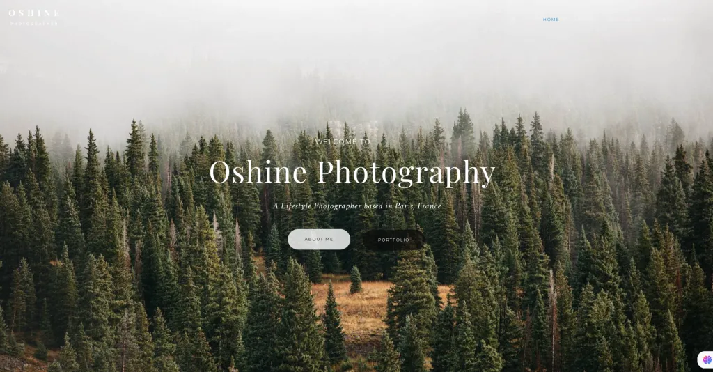 The Definitive List of 10 Best Personal Branding WordPress Themes You Need! Oshine WordPress Theme