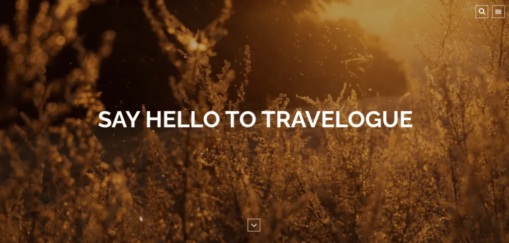12 Best Travel Blog WordPress Themes Travelogue