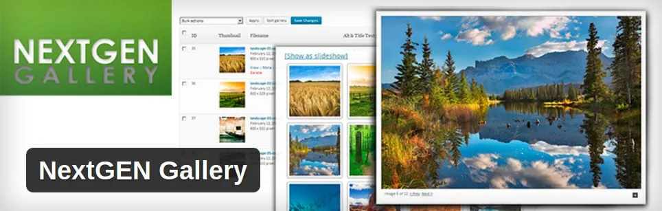 6 WordPress Plugins That Might Slow Down Your WordPress Website Nextgen Gallery Review