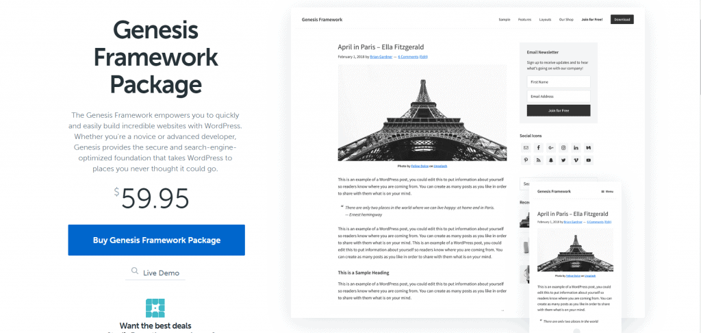 12 Best WordPress Theme Framework of 2023 1