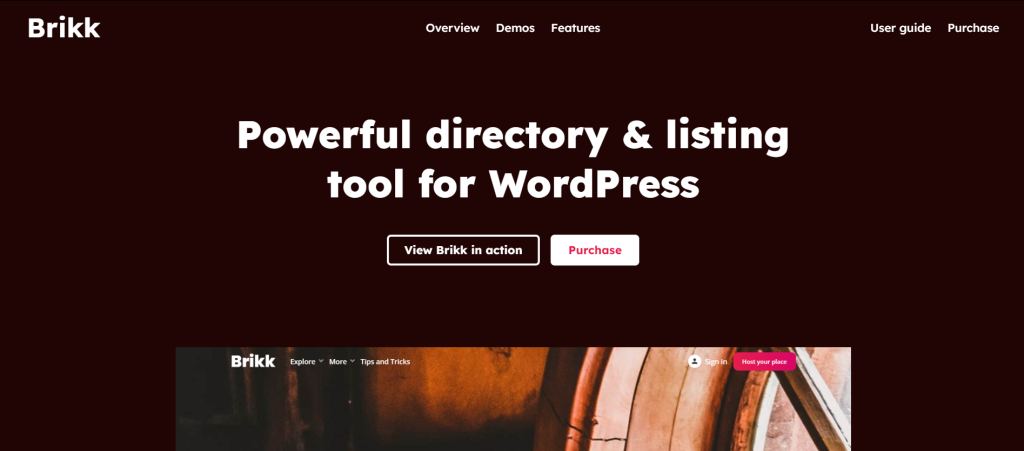 <strong>10+ Best Business Directory WordPress Themes</strong> 9