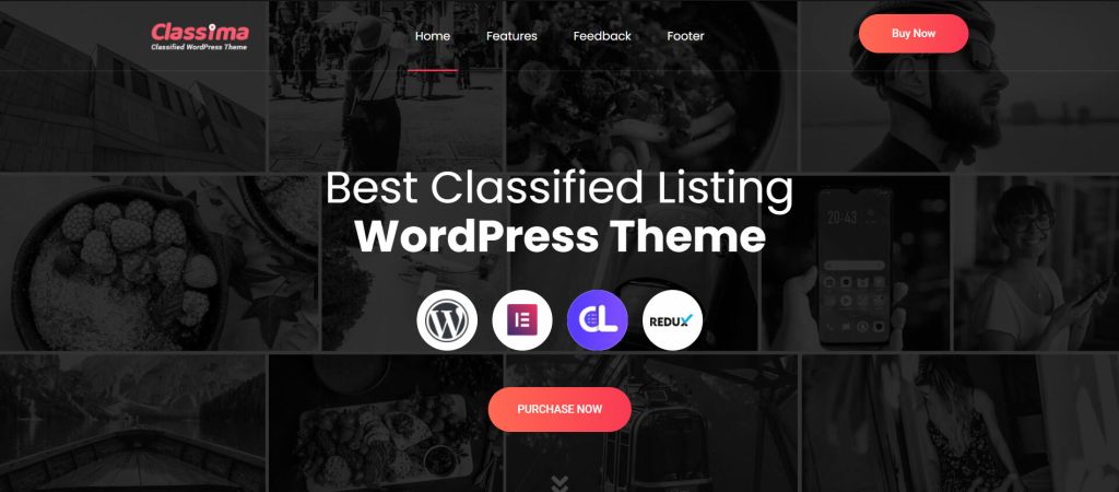 <strong>10+ Best Business Directory WordPress Themes</strong> 2