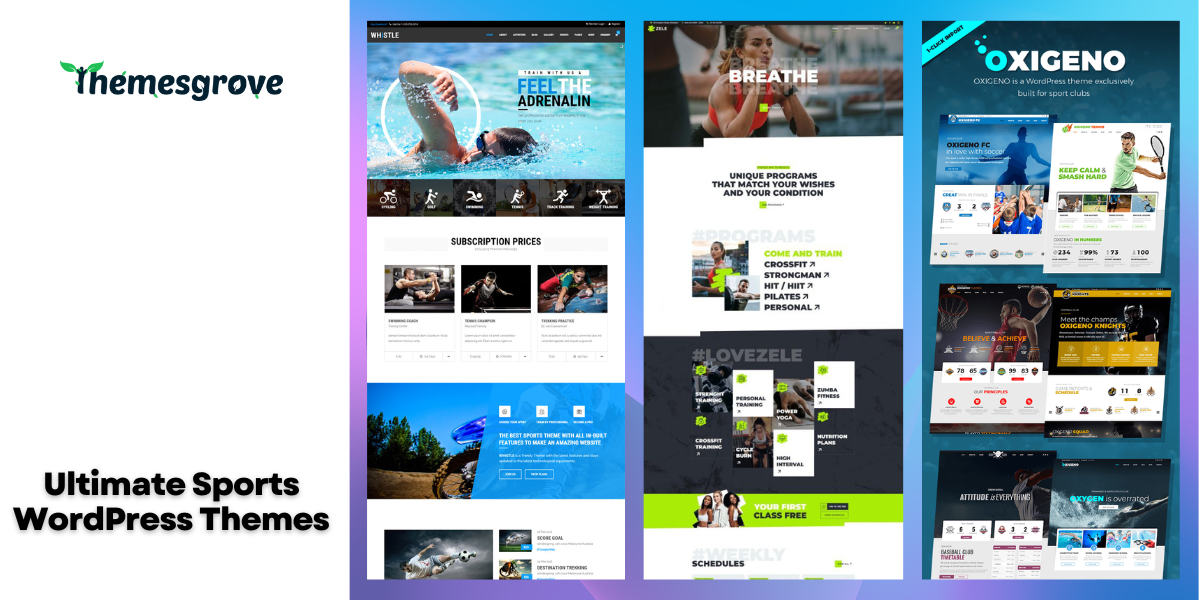 Splash - Sport Club WordPress Theme for Basketball, Football, Hockey