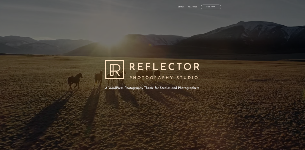 Reflector Wp Theme