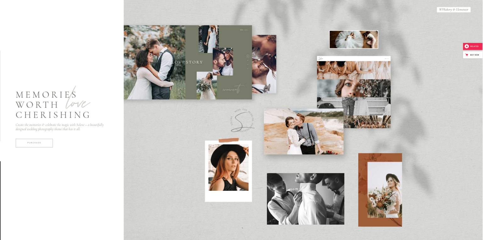 10 Best Photo Gallery WordPress Themes Themesgrove